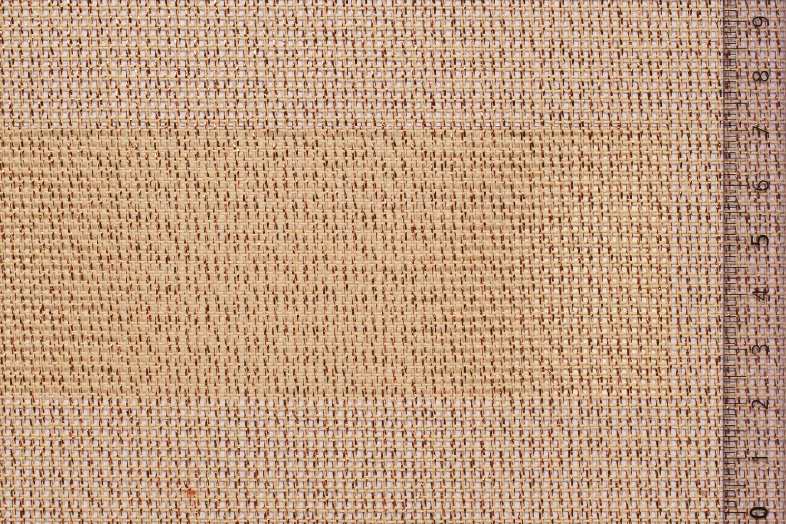 01CAN54BEIBROxxxCOTLUR[CANVAS 54 No8](BEIGE BRONZE)F